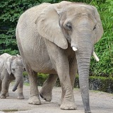 Abbildng: Platzhalter