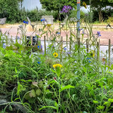 Abbildng: Platzhalter