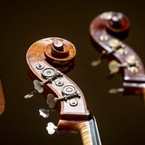 Abbildng: Platzhalter