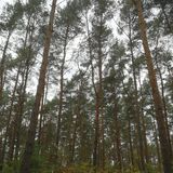 Abbildng: Platzhalter