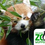 Abbildng: Platzhalter