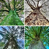 Abbildng: Platzhalter