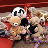 Abbildng: Platzhalter