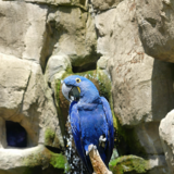 Abbildng: Platzhalter