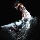 Abbildng: Platzhalter