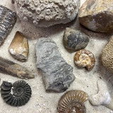 Abbildng: Platzhalter