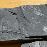 Abbildng: Platzhalter