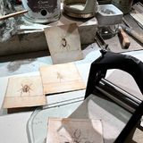 Abbildng: Platzhalter