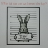 Abbildng: Platzhalter