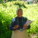 Abbildng: Platzhalter