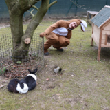 Abbildng: Platzhalter