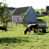 Abbildng: Location